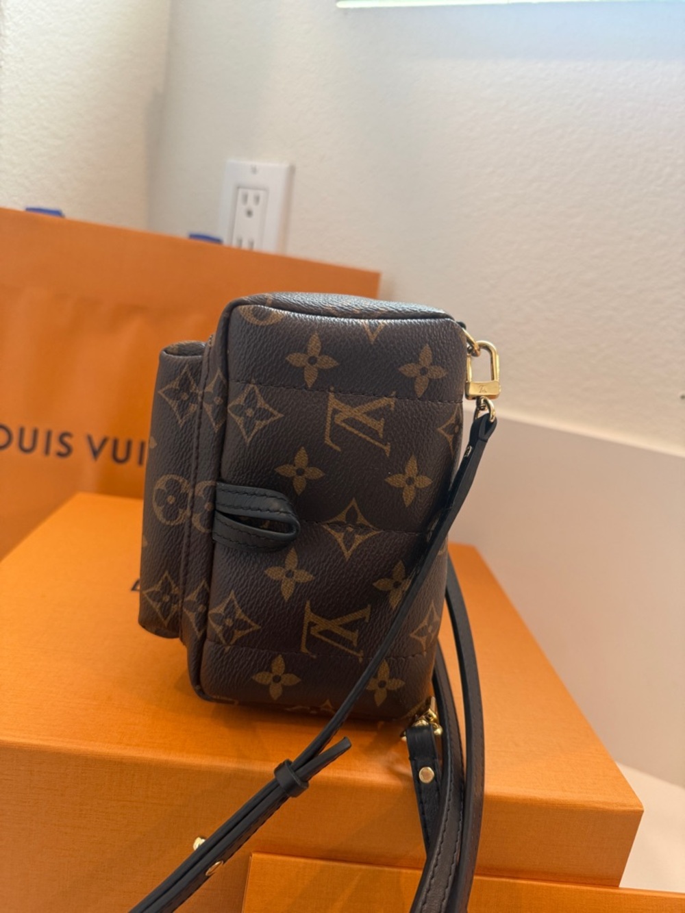 Louis Vuitton Palm Springs Mini Backpack Monogram Canvas Reverse Bag - Picture 3 of 6